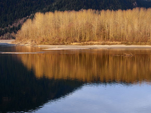 Evening light on the Fraser River at Island 22