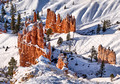 Spires in the Snow - Bryce Canyon
