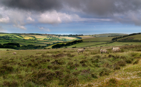 Exmoor, North Devon - Taken in the area of Middle Hill