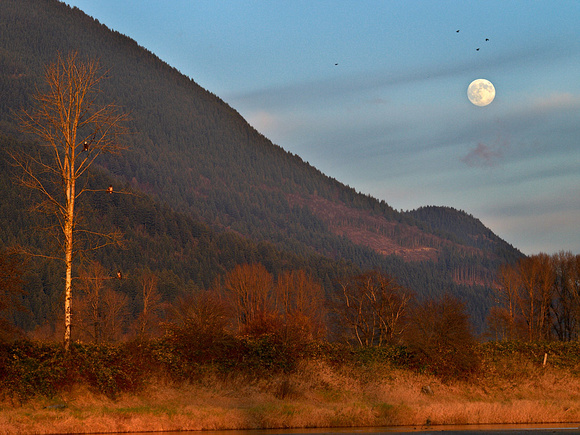 The Watch-Eagles watch over the full moon in the light of the setting sun, taken a ten minute drive from my house