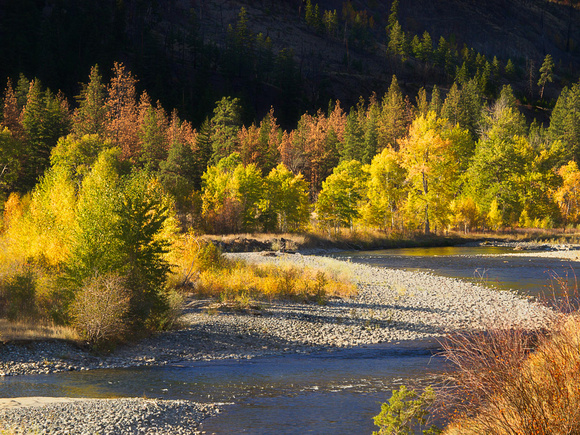 Autumn colour along the Nicola River