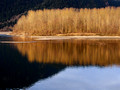 Evening light on the Fraser River at Island 22