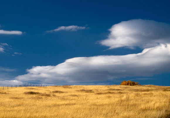 Douglas Lake Ranch grasslands