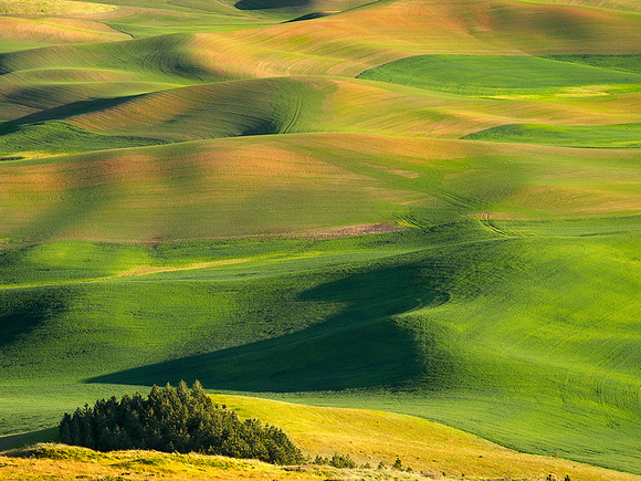 View from Steptoe Butte