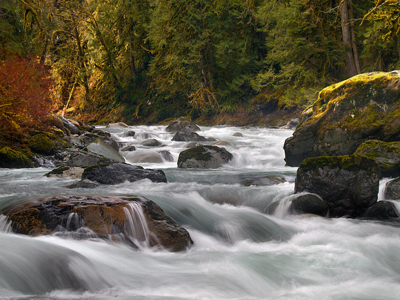 The Tamihi-this river empties into the Chilliwack River which in turn empties into the Fraser.
