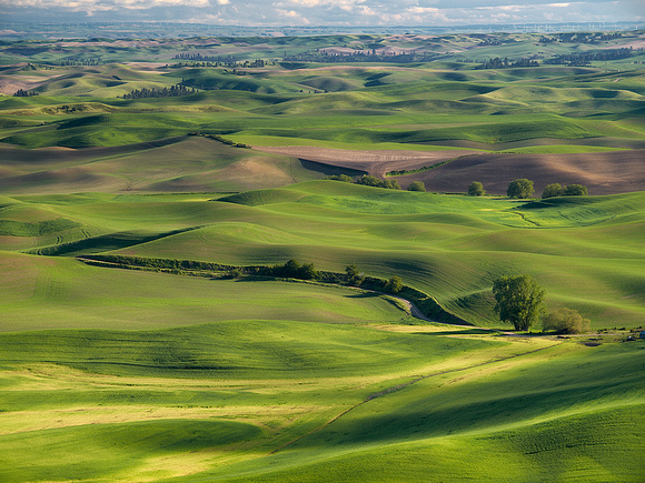 View from Steptoe Butte