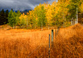Kane Valley autumn colour