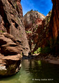 River Hiking up the Virgin River in Zion National Park