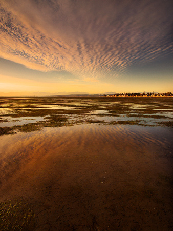 Crescent Beach Sunset - one of the lowest tides of the season