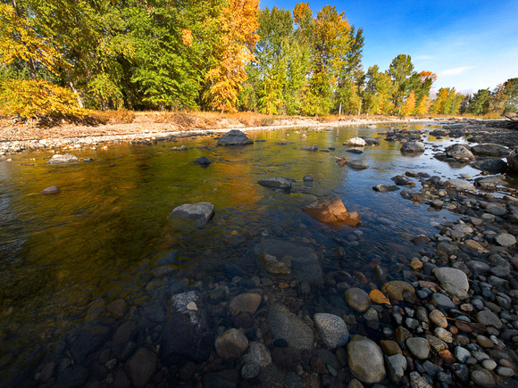 Autumn colour along the Coldstream River outside of Merritt