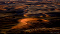 Late Evening Light Over the Palouse