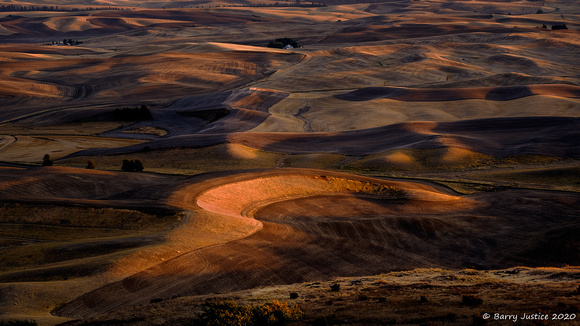 Late Evening Light Over the Palouse