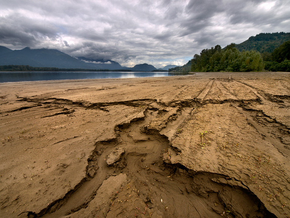 Water channels in the Fraser River silt.