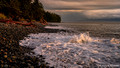 Evening light over French Beach on the west coast of Vancouver Island.