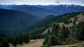 View from Hurricane Ridge,  Olympic National Park