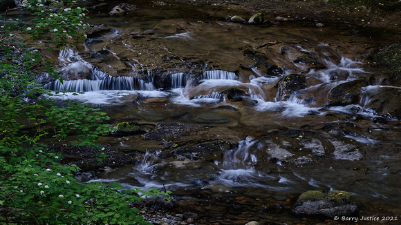Kanaka Creek,  Maple Ridge