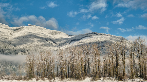 Snow on the hills behind Dewdney Slough