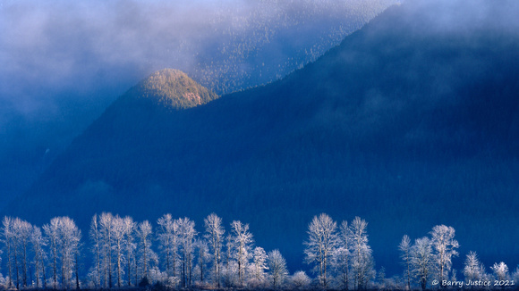 Sunlight peeking over the mountain lighting up the frost covered trees