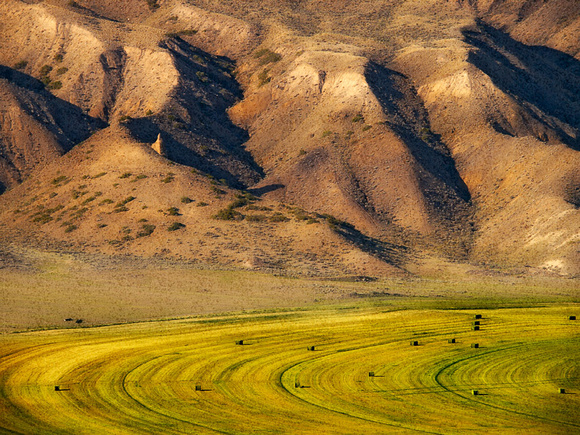 Irrigated field just outside Ashcroft.  The image is textured to look like a painting