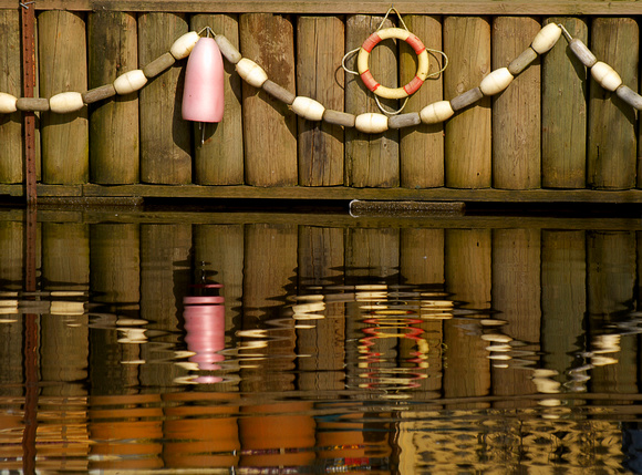 Reflections - Mill Lake, Abbotsford