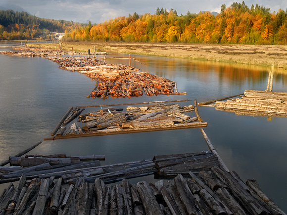 Log booms on the Stave River