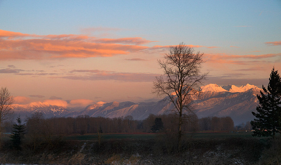 Mt Cheam from the Dewdney Slough at sunset.