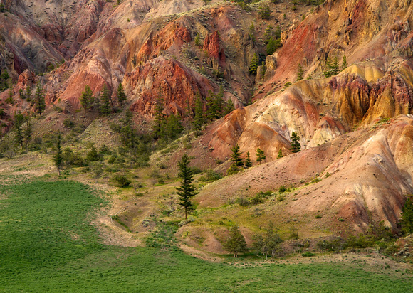 Painted Hills in the Deadman River Valley. 1.6 million year old solidified volcanic ash.