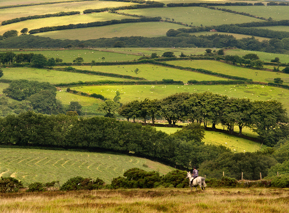 Exmoor - Taken in the area of Middle Hill