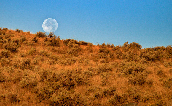 Moon setting over the Lac du Bois Grassland Reserve north west of Kamloops
